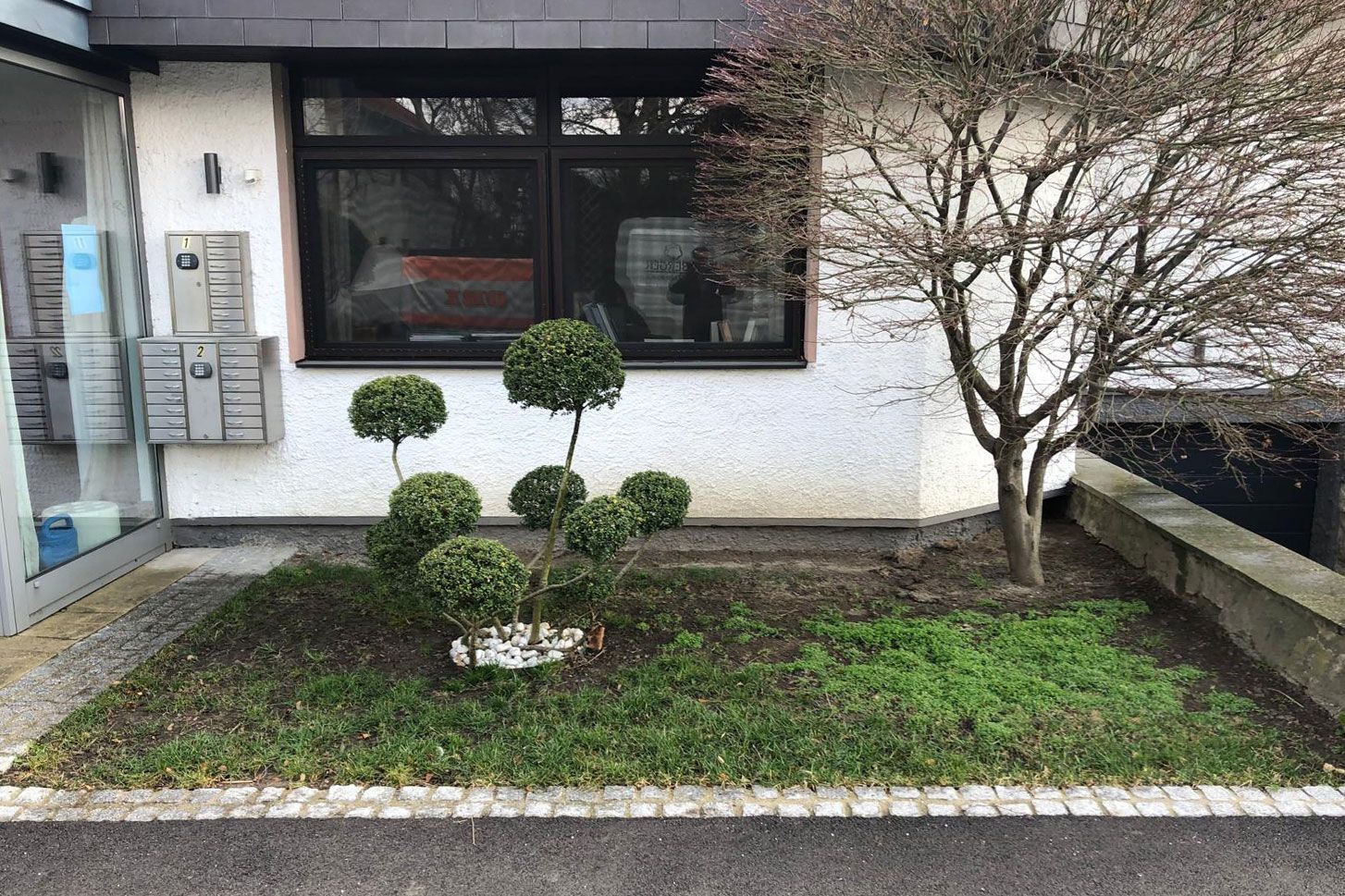 Garten vorher