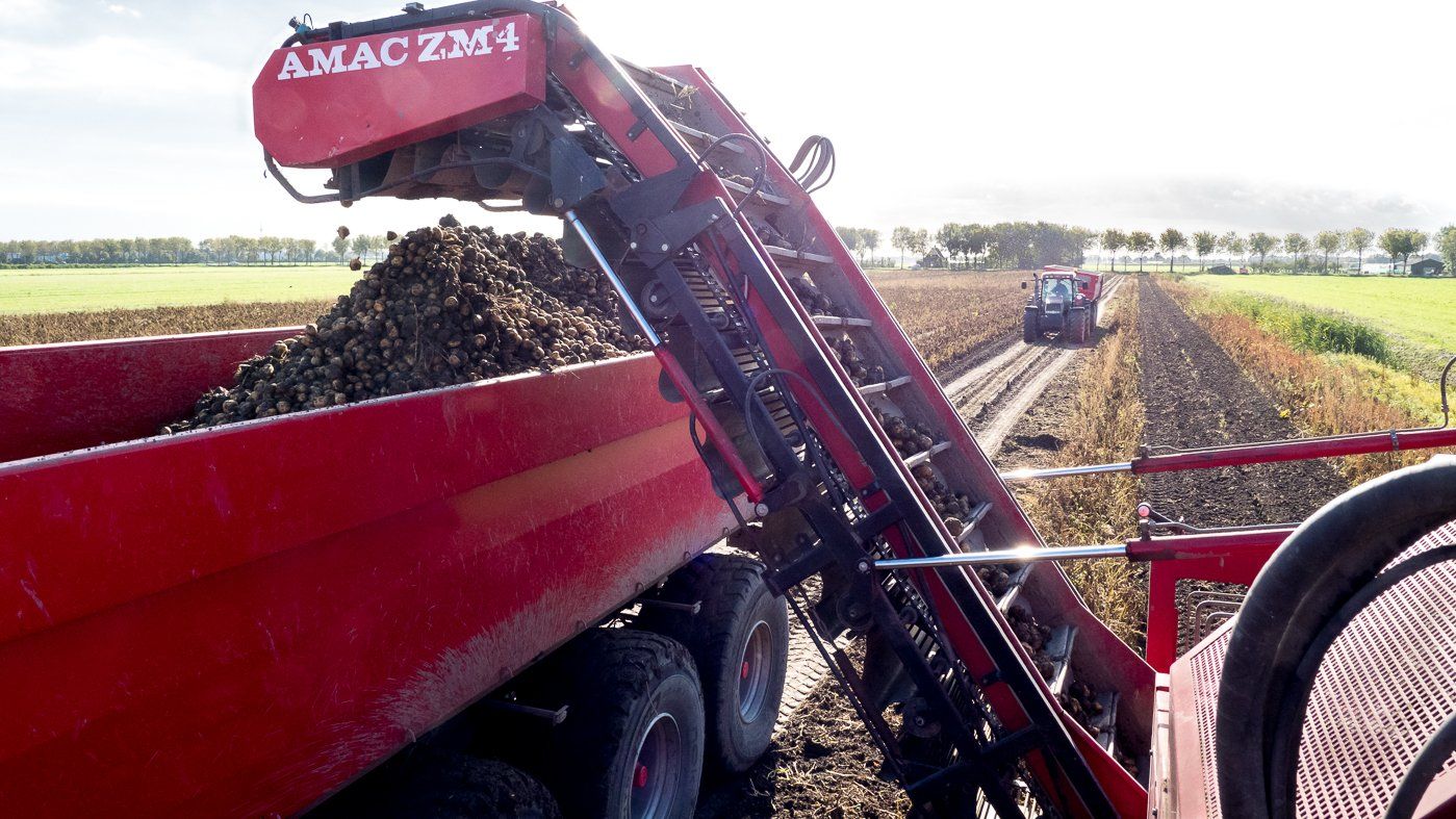 Een rode transportband lost donker gewas in een rode aanhanger op een veld, met een andere machine in de verte.