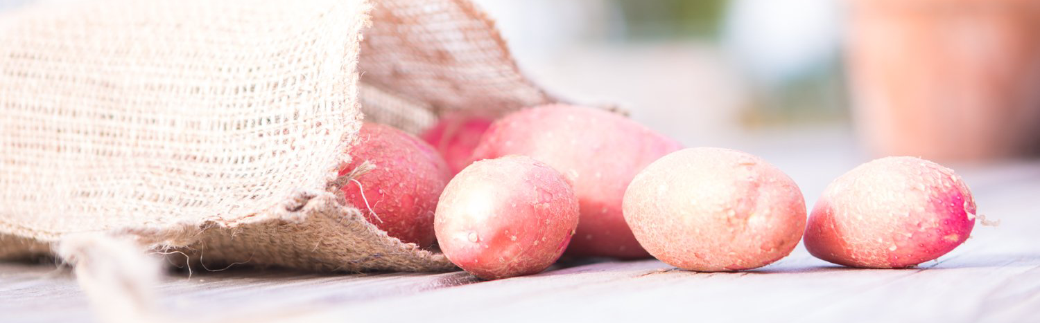 Vijf roze eieren naast een jutezak op een witte ondergrond.