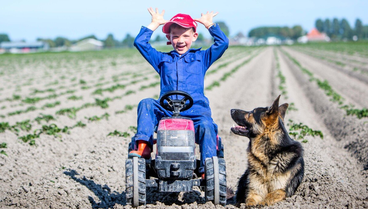 Kind op een speelgoedtractor met opgeheven armen naast een Duitse herder in een boerenveld.