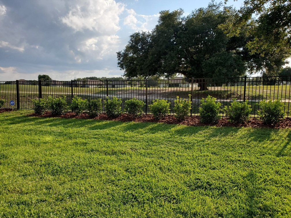 plant install