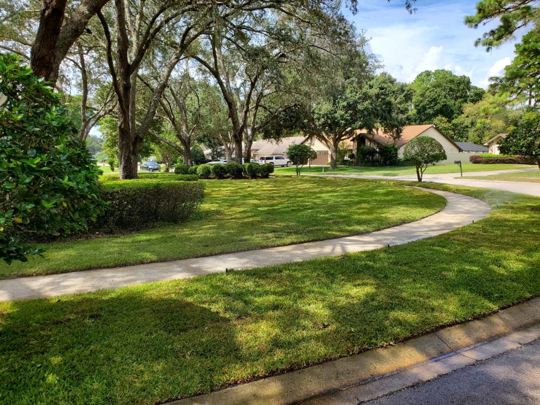 Lawn Care