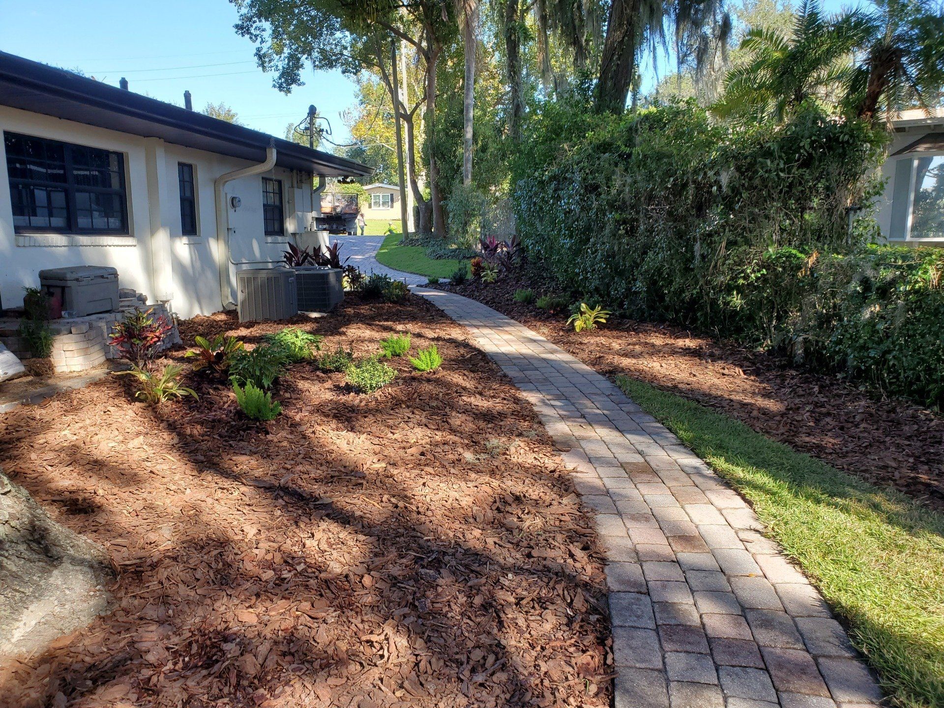 Yard Maintenance