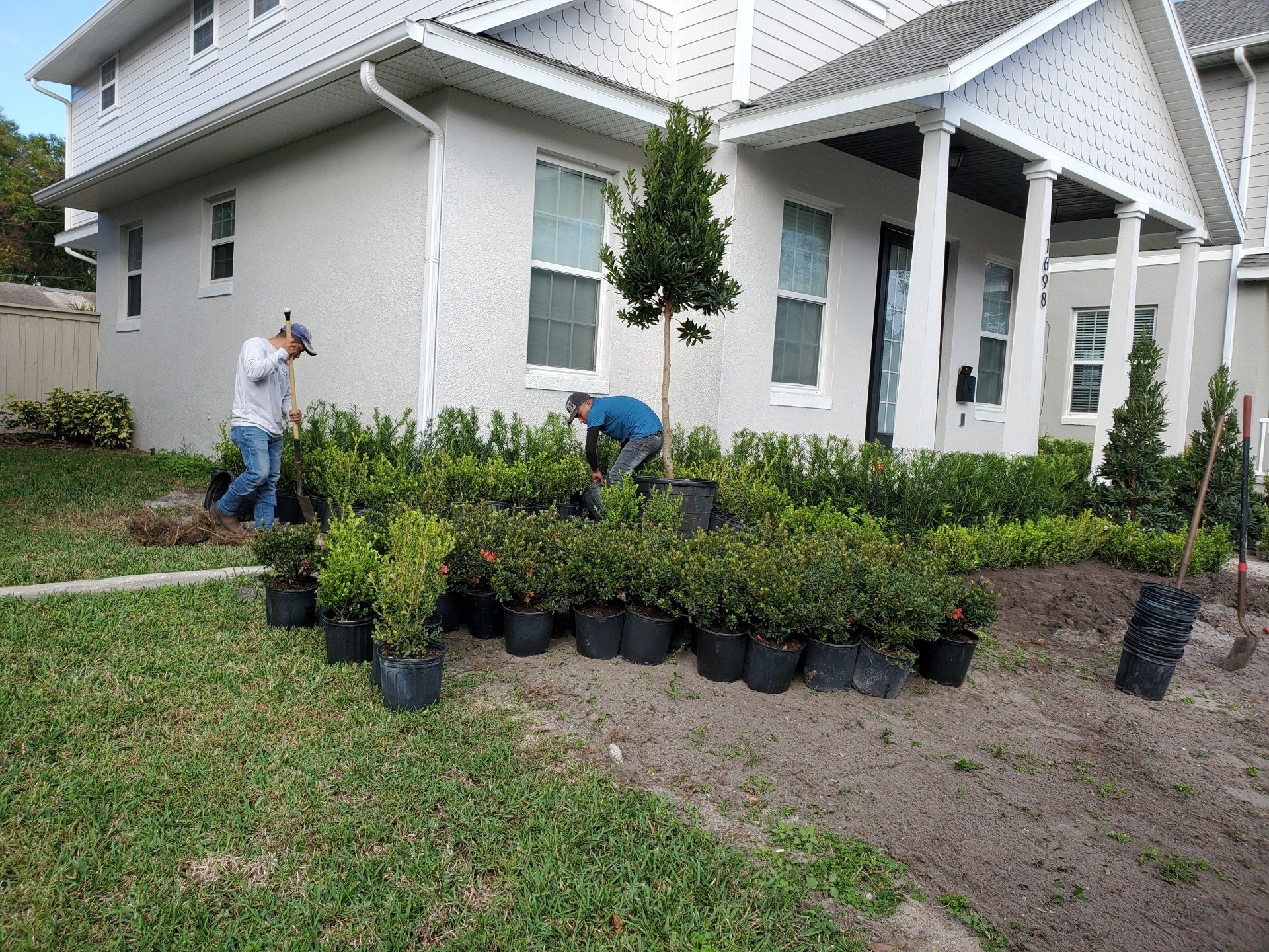 Plant Installation