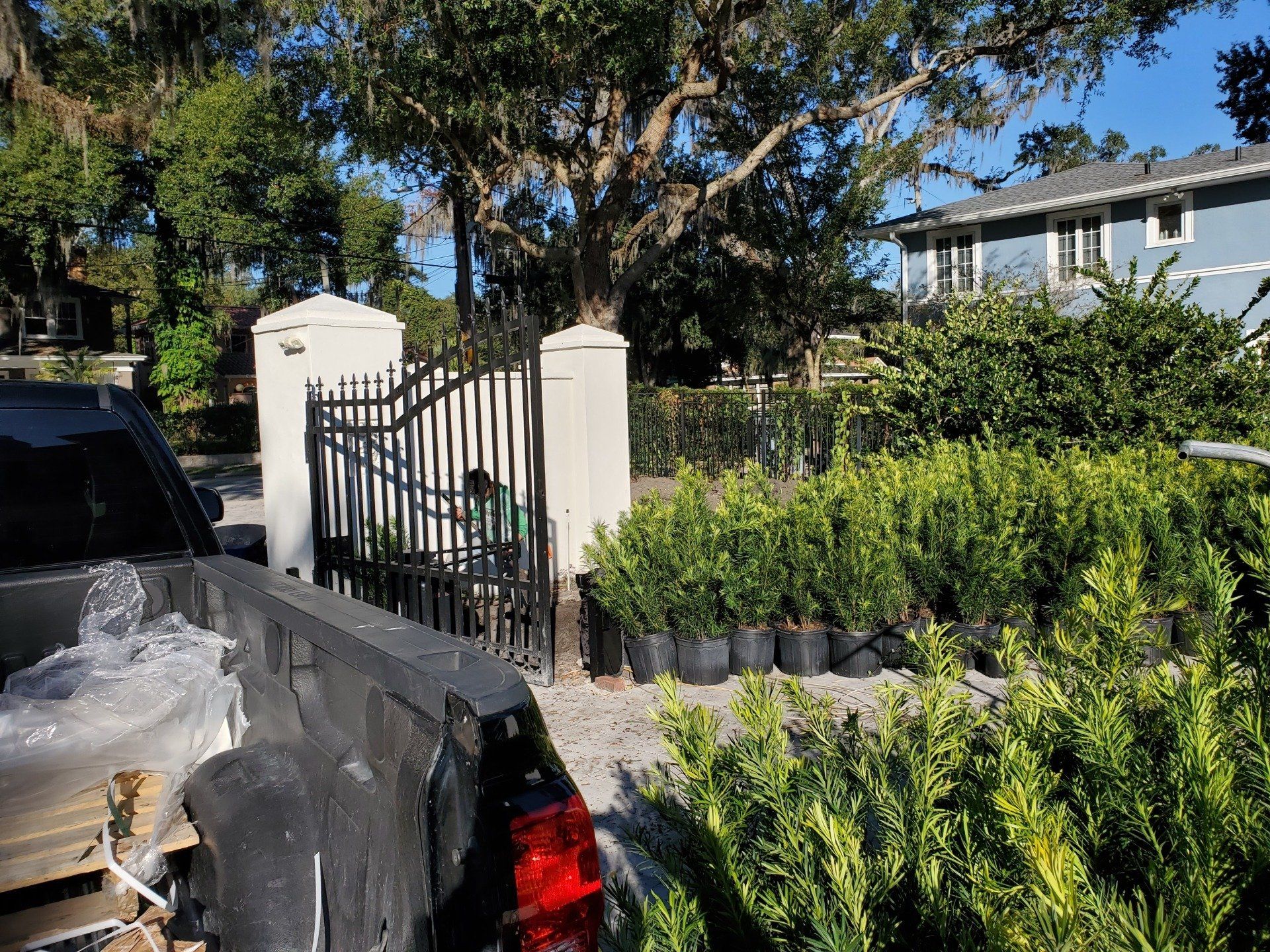 Plant Installation