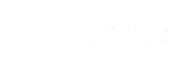 A white logo for a company called heli insurance group on a white background.