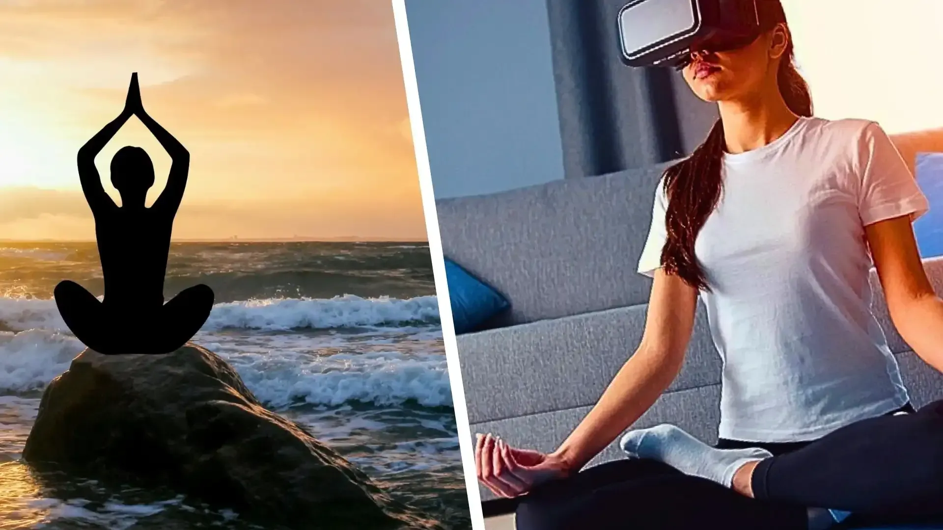 Wellness VR Headset