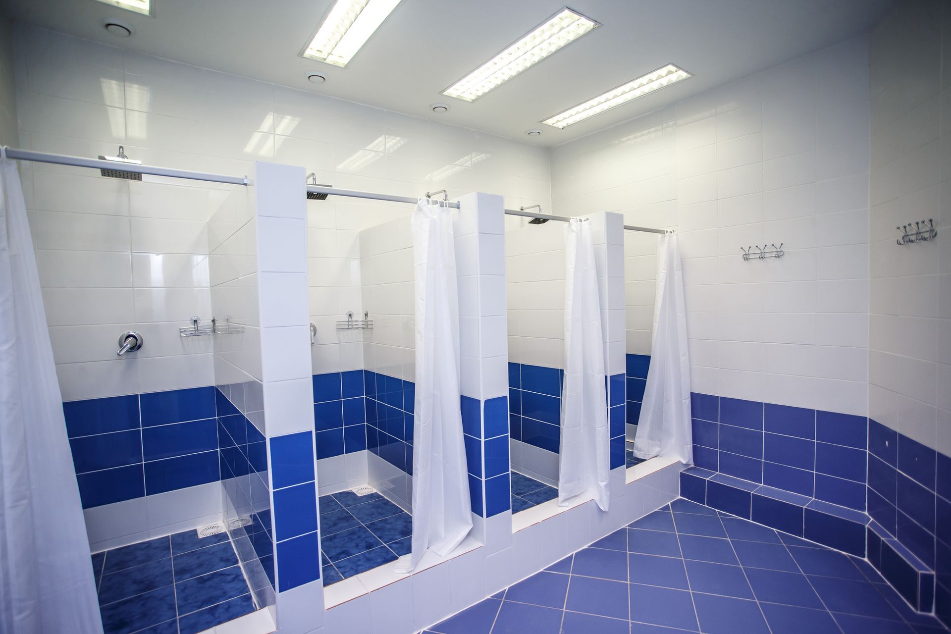 shower cleaning