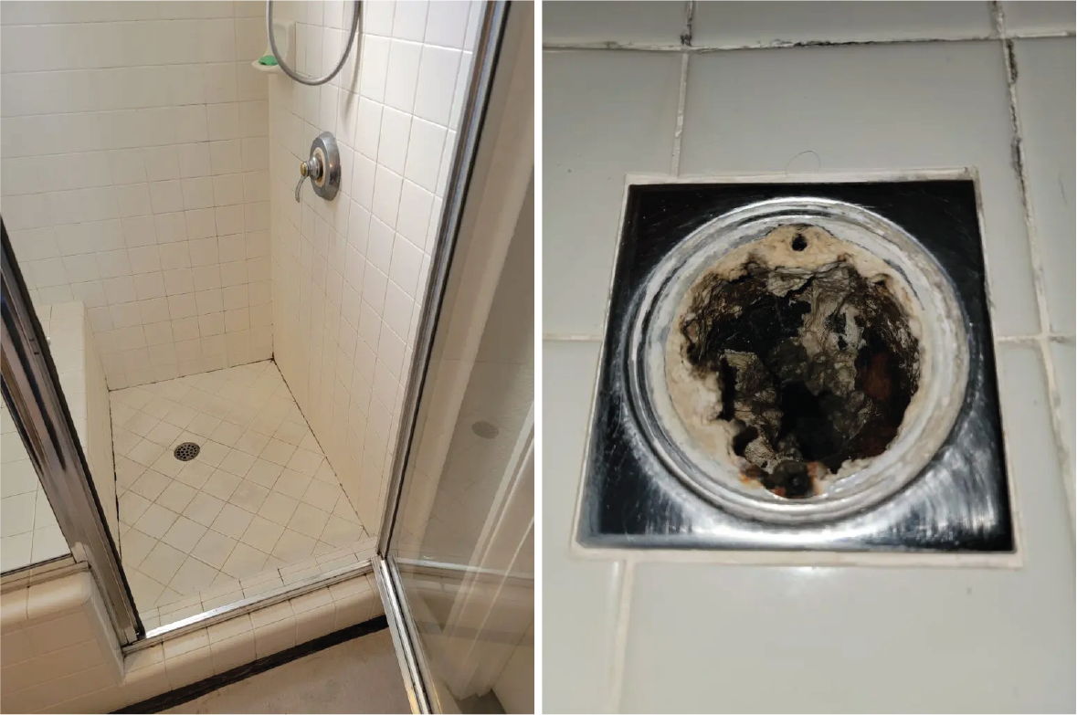 shower mold