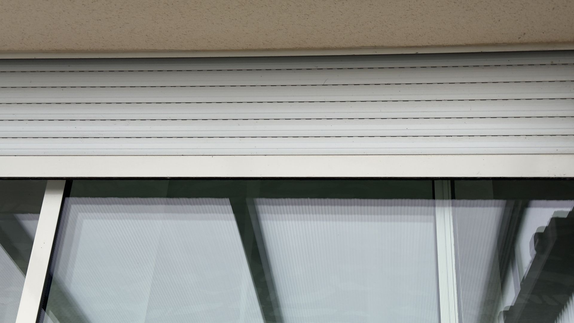 Window with brown and tan zebra blinds, a houseplant, and a view of green foliage.