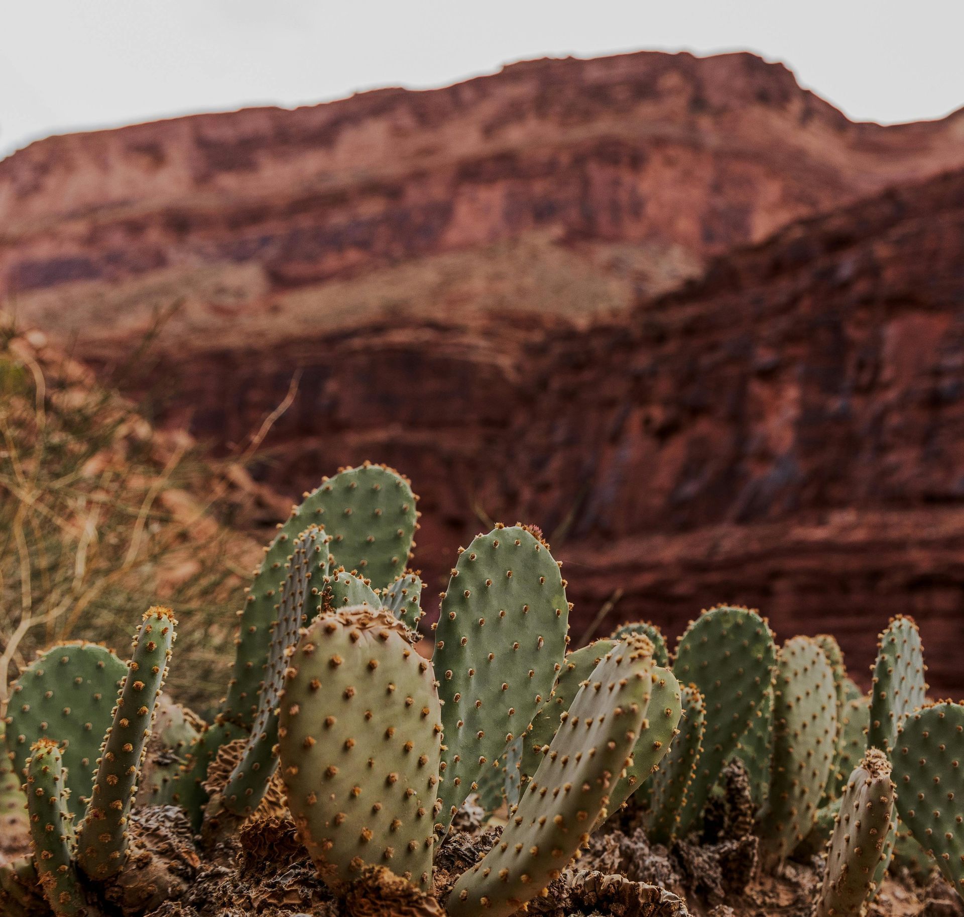 remedial massage therapy, Grand Junction, Colorado