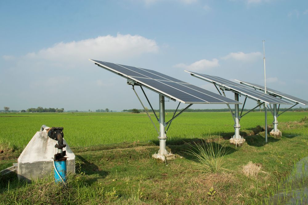 Solar Panels Powering a Water Pump in a Green Field Under a Blue Sky — Wilson's Drilling in South Kolan, QLD