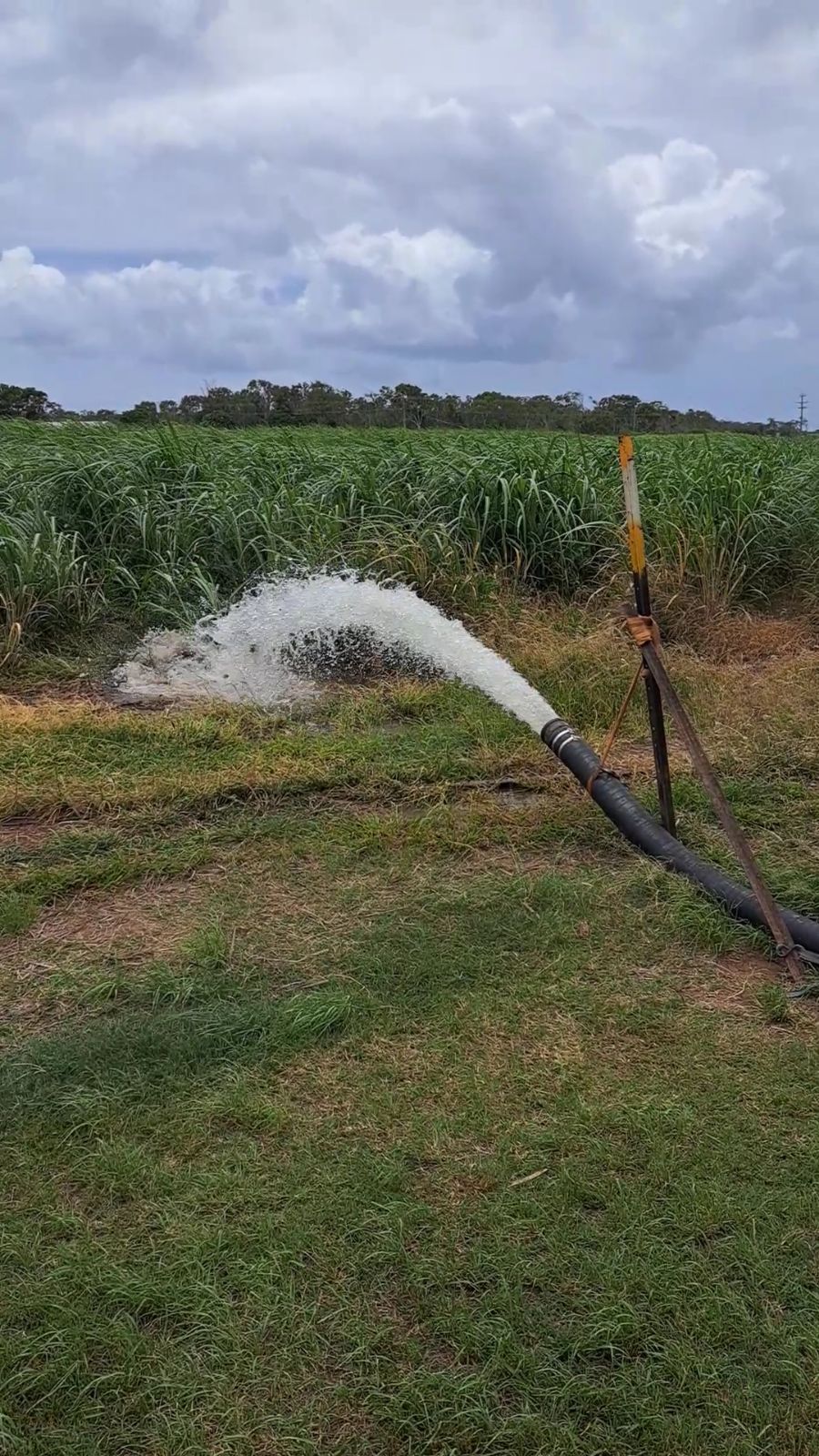 Water Gushing From a Black Hose Onto Green Grass — Wilson's Drilling in South Kolan, QLD