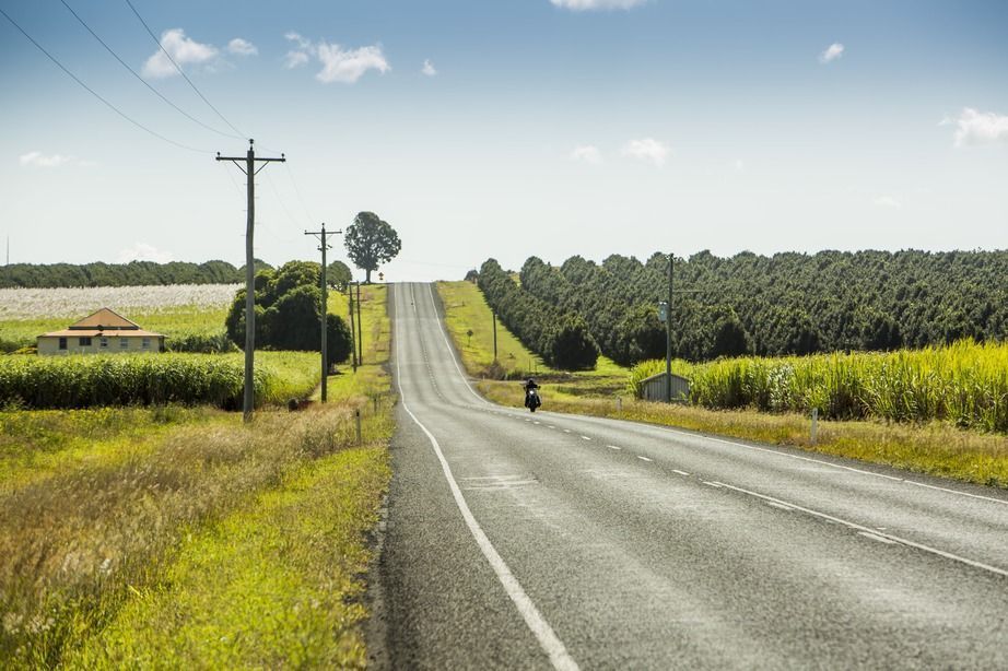 Road Through Green Fields With a Tree at the Top of a Hill — Wilson's Drilling in Gin Gin, QLD