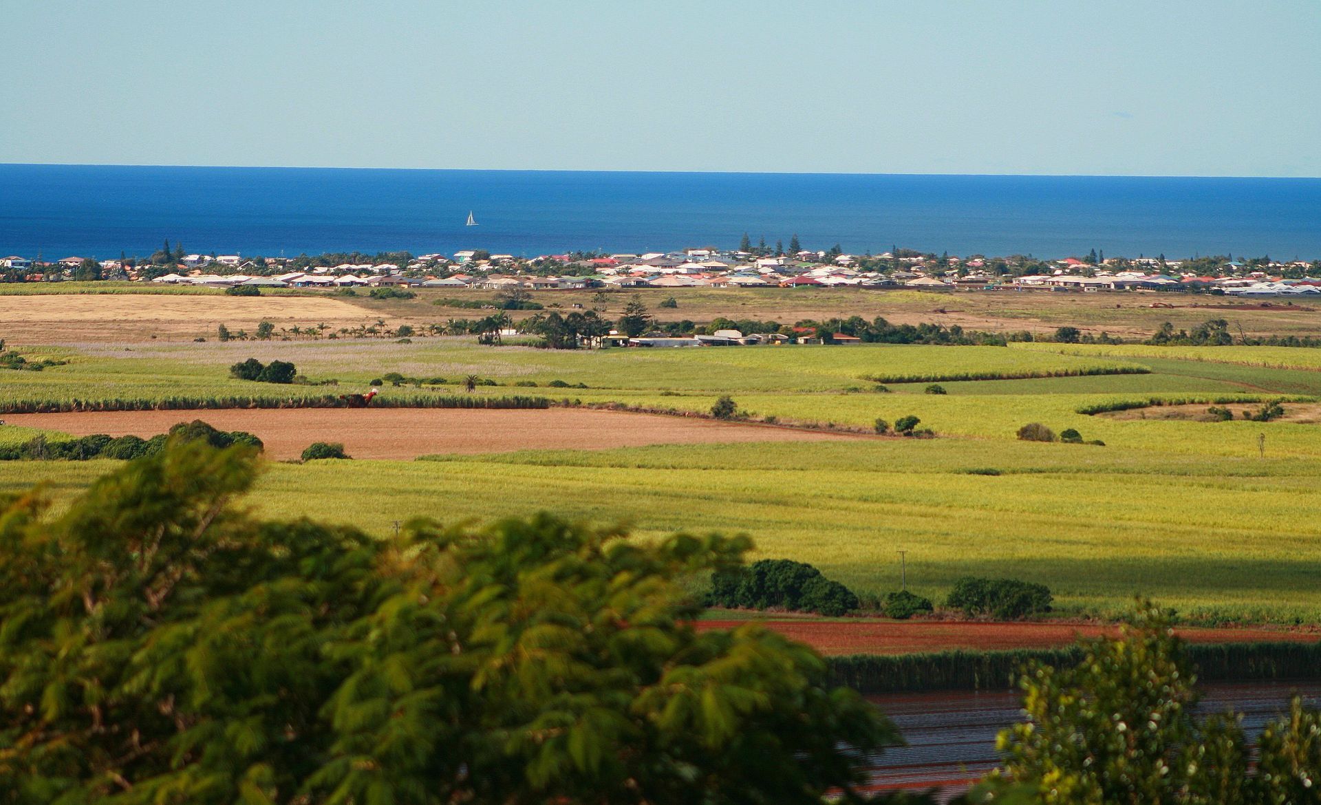 Green Fields and a Distant Town Meet the Blue Sea Under a Clear Sky — Wilson's Drilling in Bundaberg, QLD
