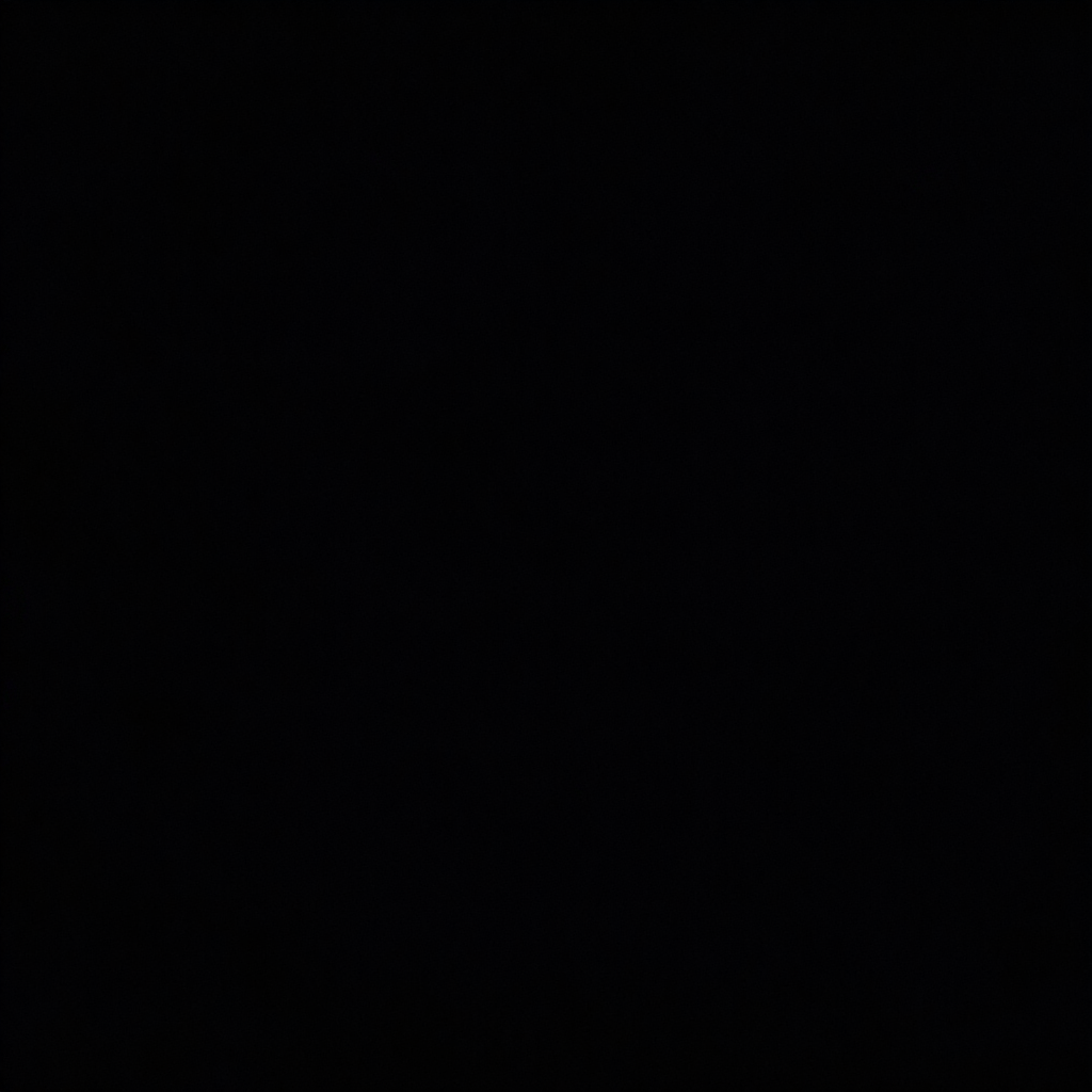 Nearly black, with no discernible subject or details.