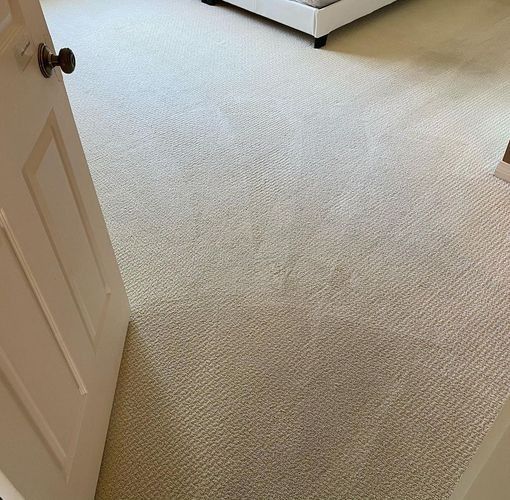 Open bedroom door onto beige carpet with a bed in the background