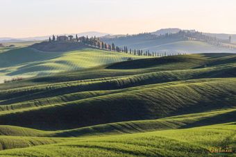 Clicca e Prenota il tuo tour delle Crete Senesi in E-bike