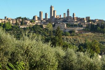Clicca e prenota la tua degustazione di vino e olio a San Gimignano