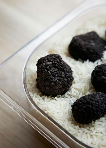 Clicca e Prenota la tua Caccia al Tartufo