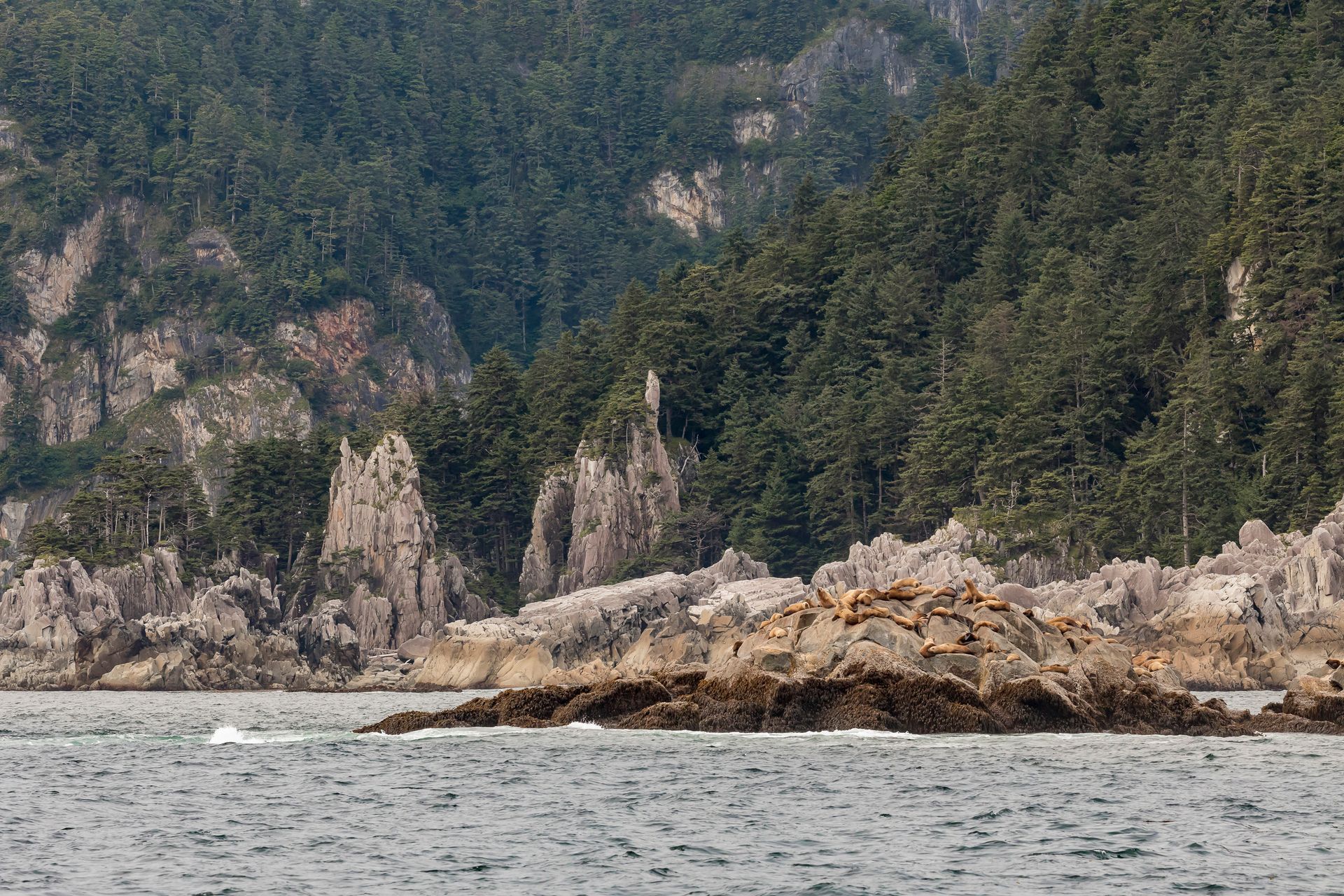 Rocky coastal cliffs above gray water with dense green forest in the background