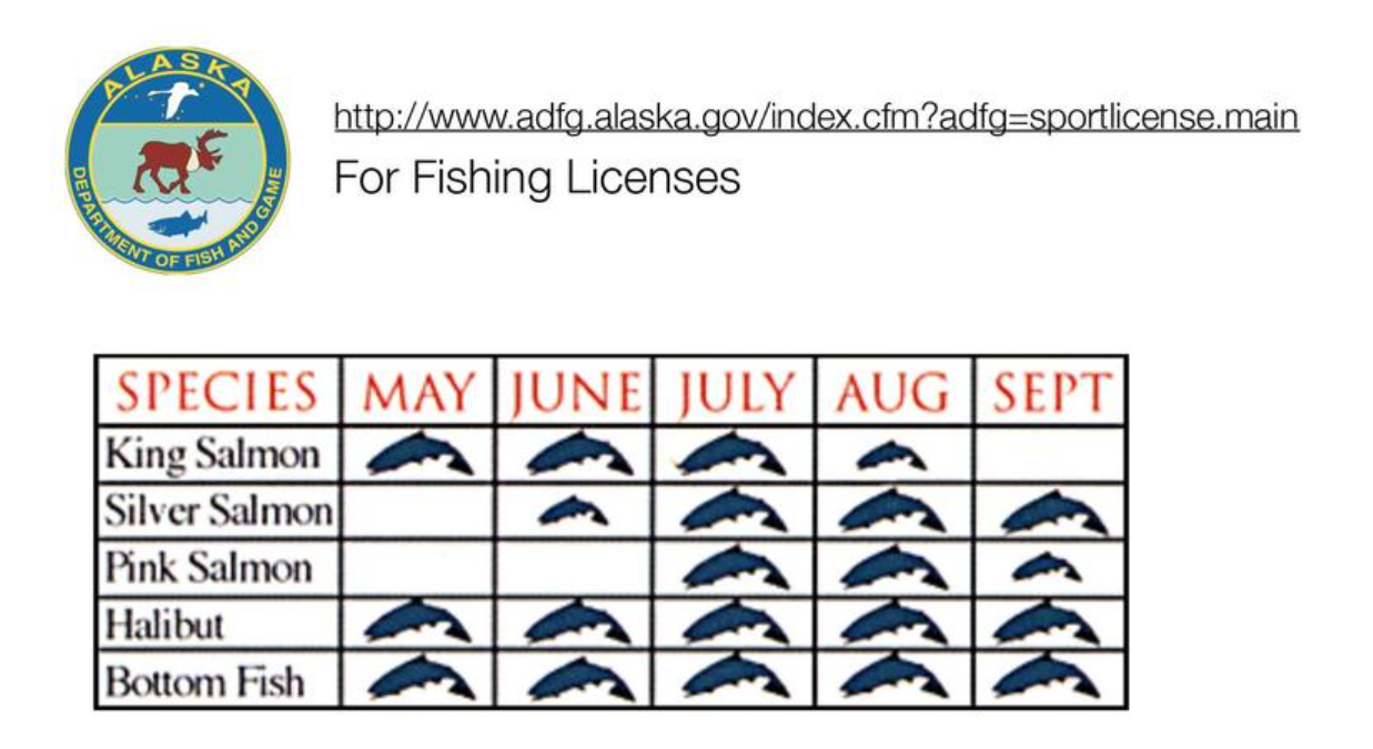 Fishing license chart showing seasons for king salmon, silver salmon, pink salmon, halibut, and bottom fish.