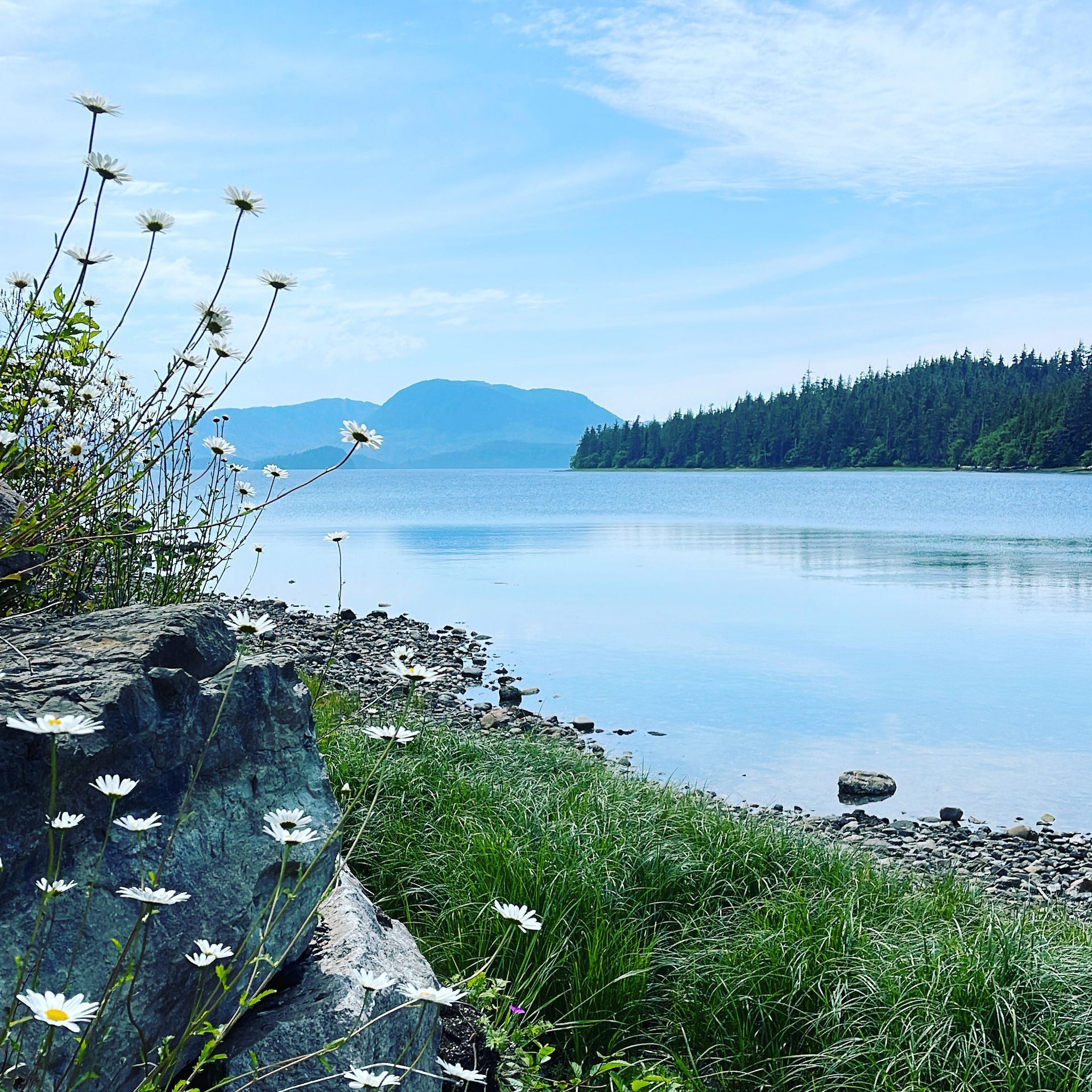 Calm blue lake with rocky shore, grassy foreground, and distant forested islands under a clear sky