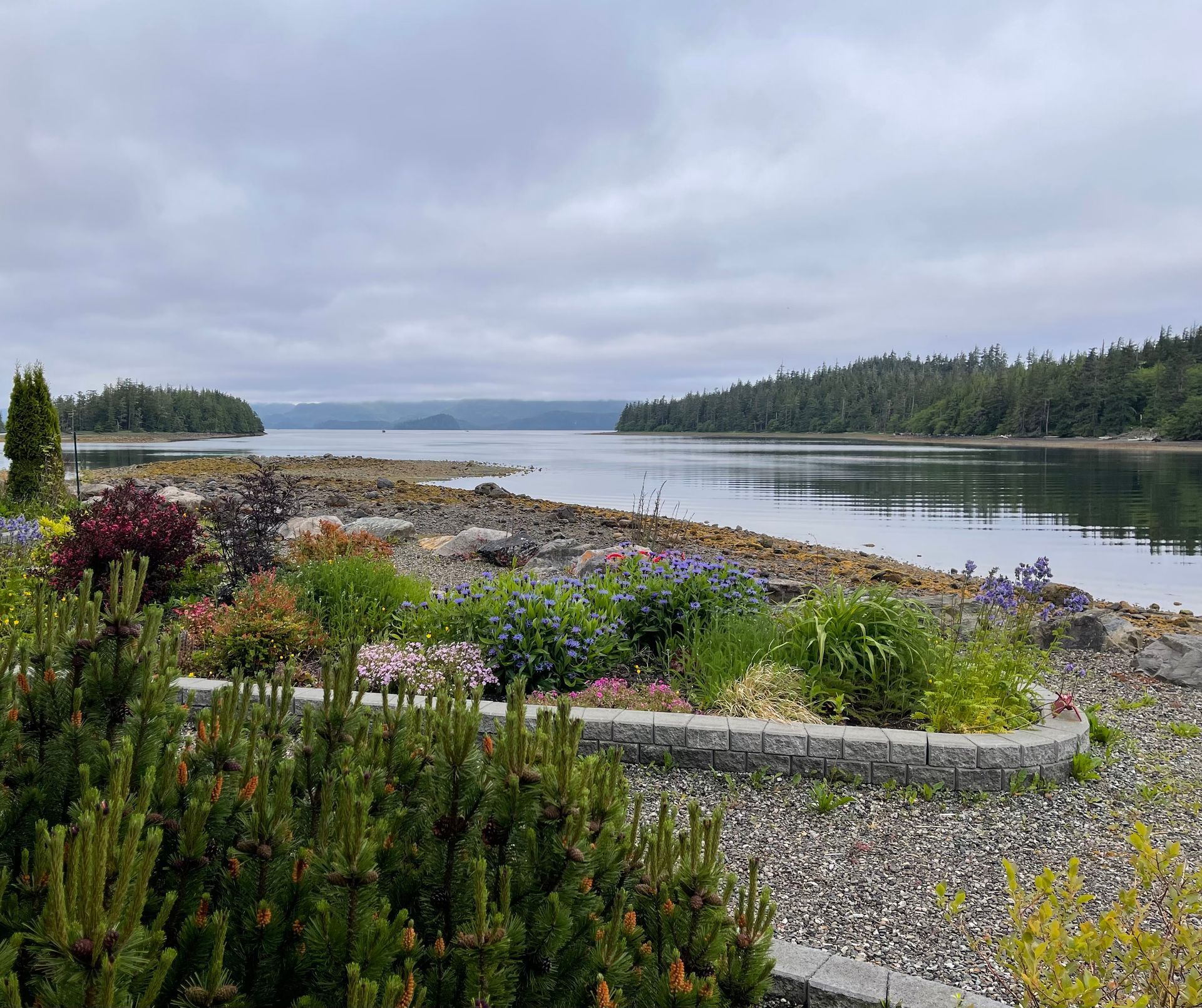 Rocky coastal garden with colorful flowers overlooking calm water and forested islands under cloudy skies