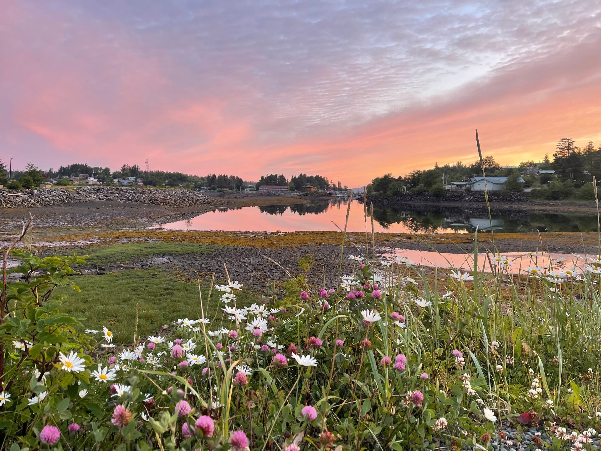 Wildflower meadow beside a calm lake at sunset, with pink and white flowers under a pastel sky.