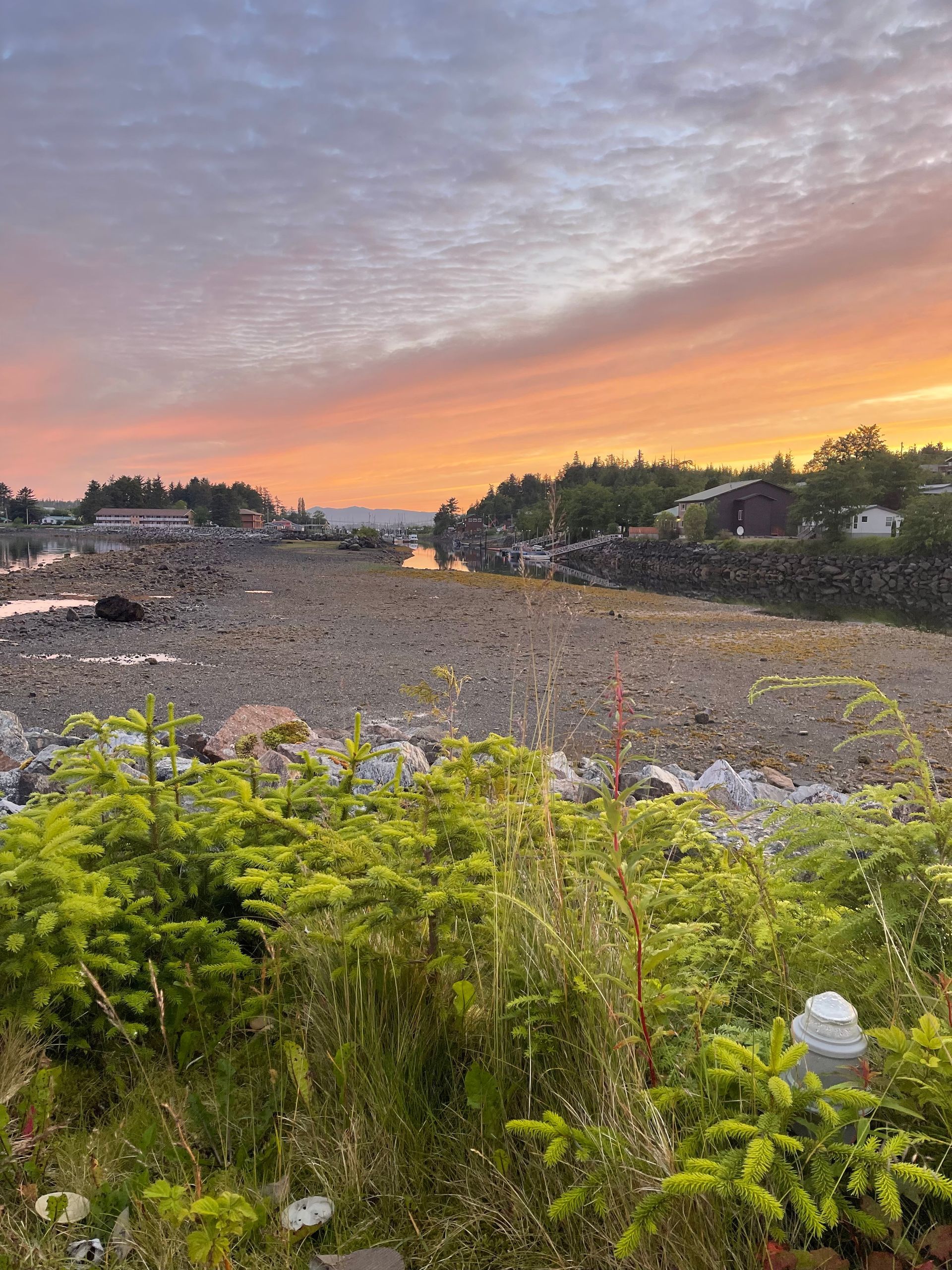 Rocky beach at sunset with green shrubs in the foreground and orange-pink sky over calm water