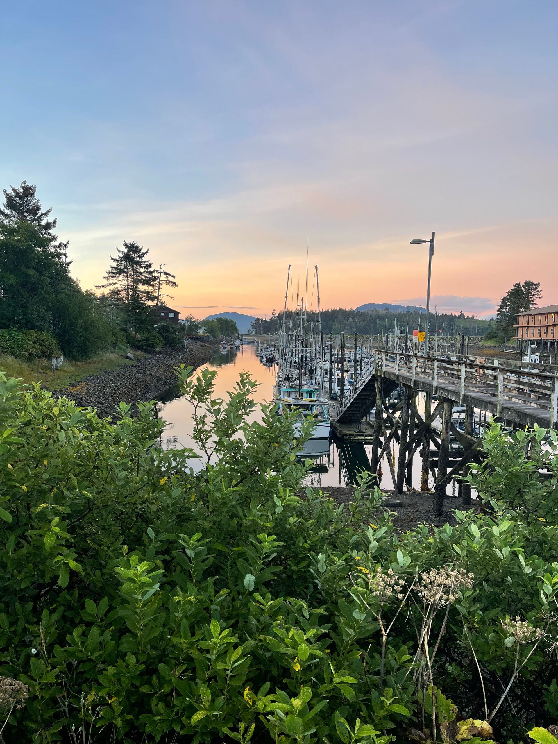 Sunset over a marina with sailboats, framed by lush greenery and a wooden walkway.