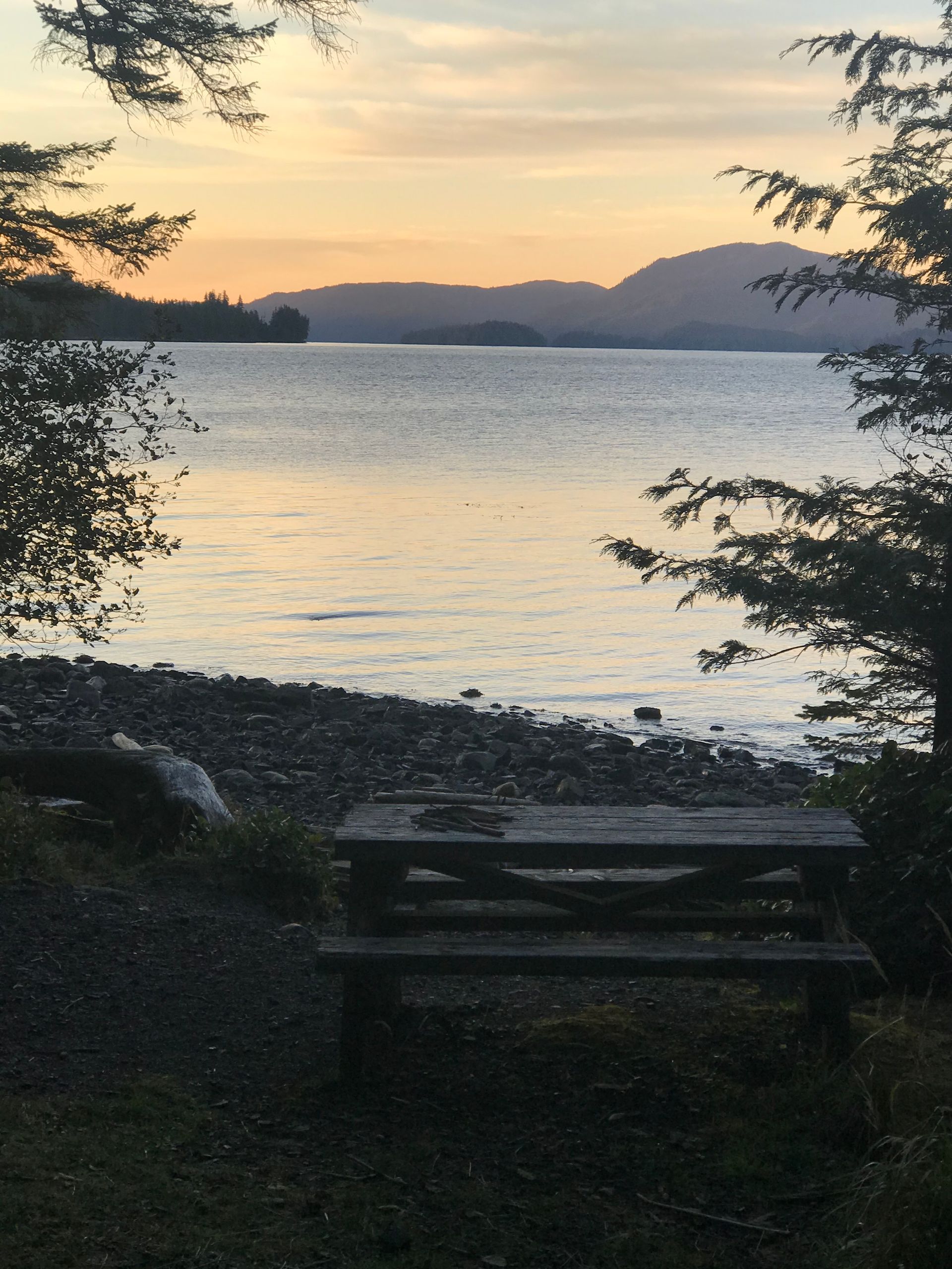 Wooden picnic table by a calm lakeshore at sunset, framed by trees and distant hills.