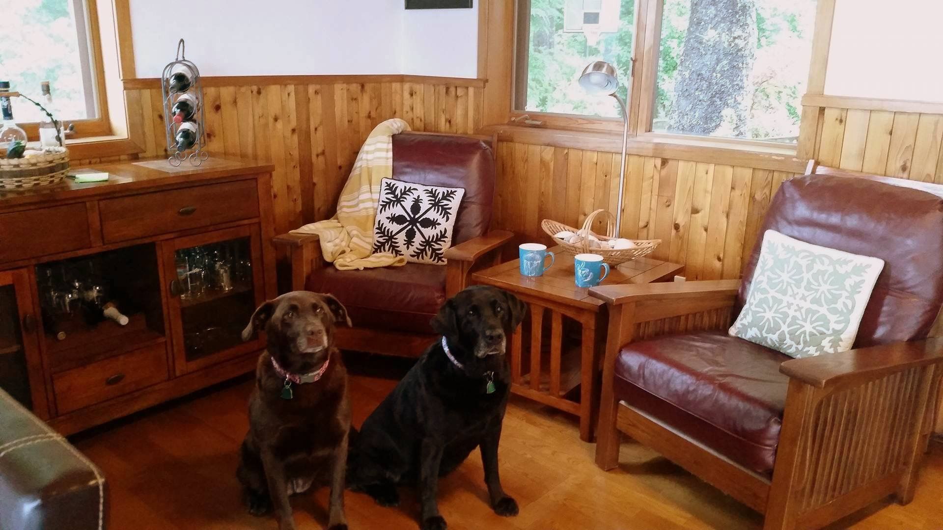 Two dogs sitting in a cozy wood-paneled cabin with leather chairs and a window view.