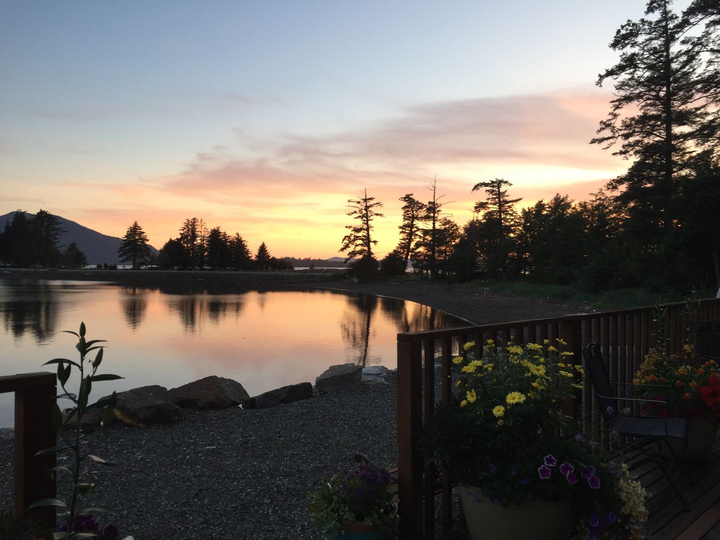 Sunset over a calm lake with silhouetted trees, a rocky shore, and flowers in the foreground