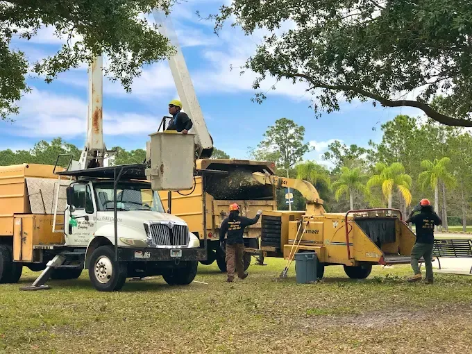 Tree service crew operating equipment in a grassy area with a lift truck and wood chipper.