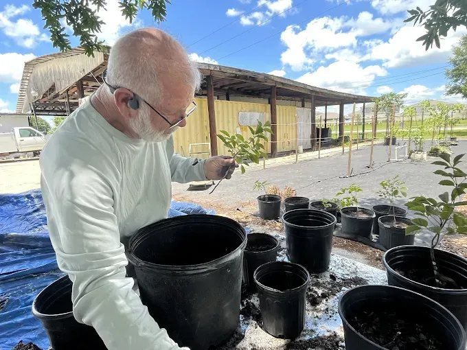Man planting a sapling into a black pot, outdoors in front of a building.