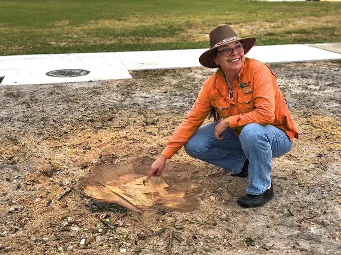 Woman in hat pointing at a tree stump in a dirt area, smiling.