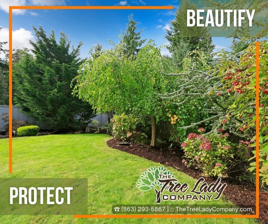 Lush green yard with trees and bushes, 