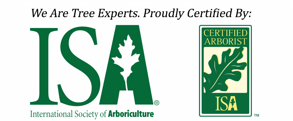 Logos: "ISA" and "Certified Arborist ISA" with a leaf. Text: "We Are Tree Experts."