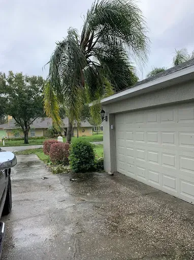 Palm tree and garage in a rainy residential area. Wet driveway. Overcast sky.