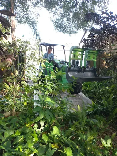 Person driving green utility vehicle in a garden setting, surrounded by lush vegetation.