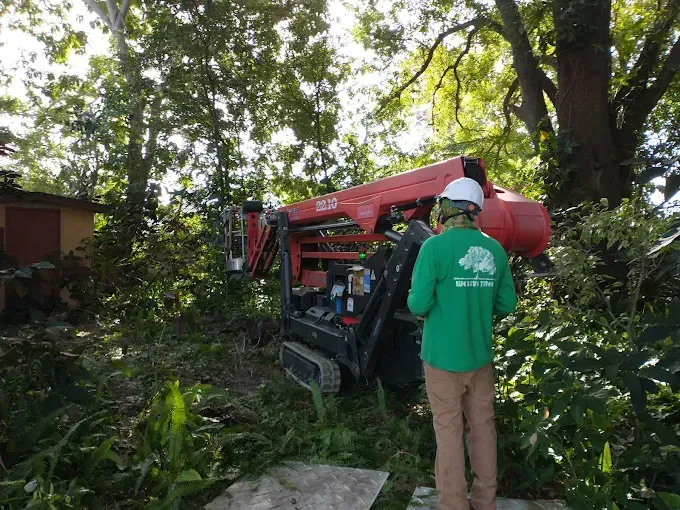 Arborist in green shirt watches a red lift machine trimming trees in a yard.