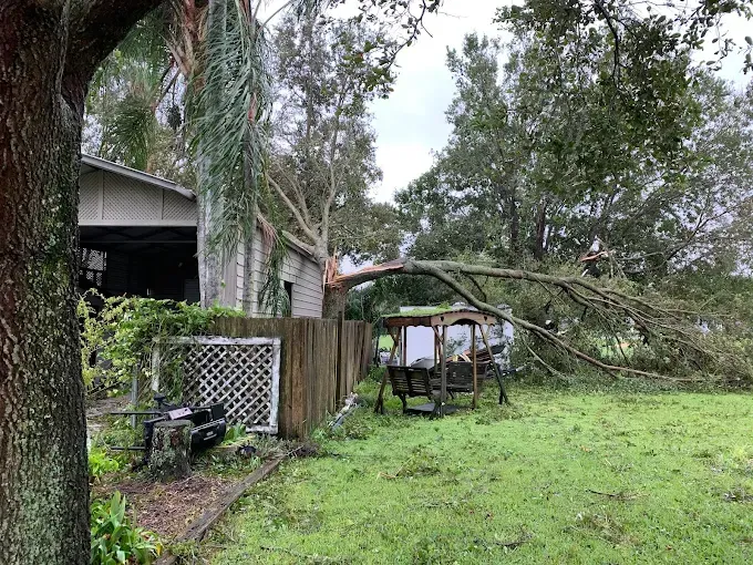 Tree branch fallen on a house, partly covering a wooden fence and yard, cloudy sky overhead.