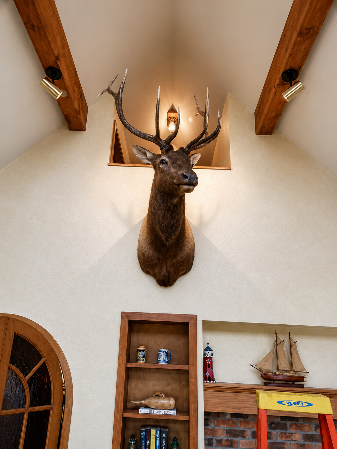 Mounted deer head above wooden shelves and model sailboat in a rustic room