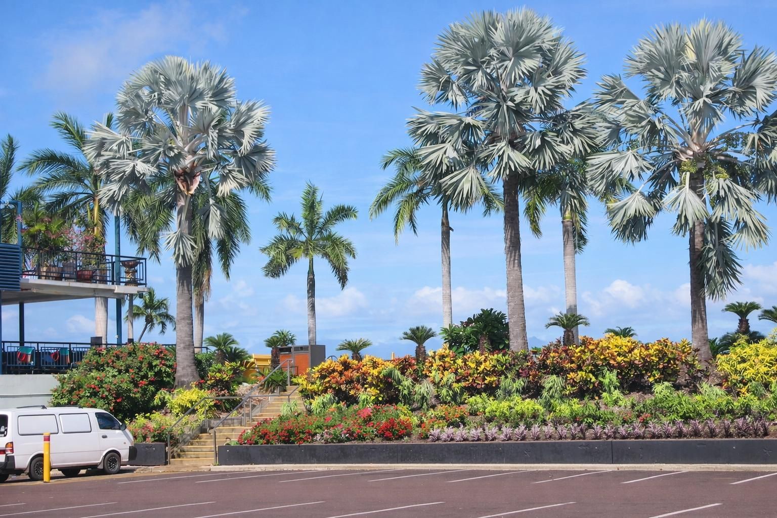 A scenic parking lot area with vibrant tropical plants, blue sky, and several tall palm trees on a bright sunny day.