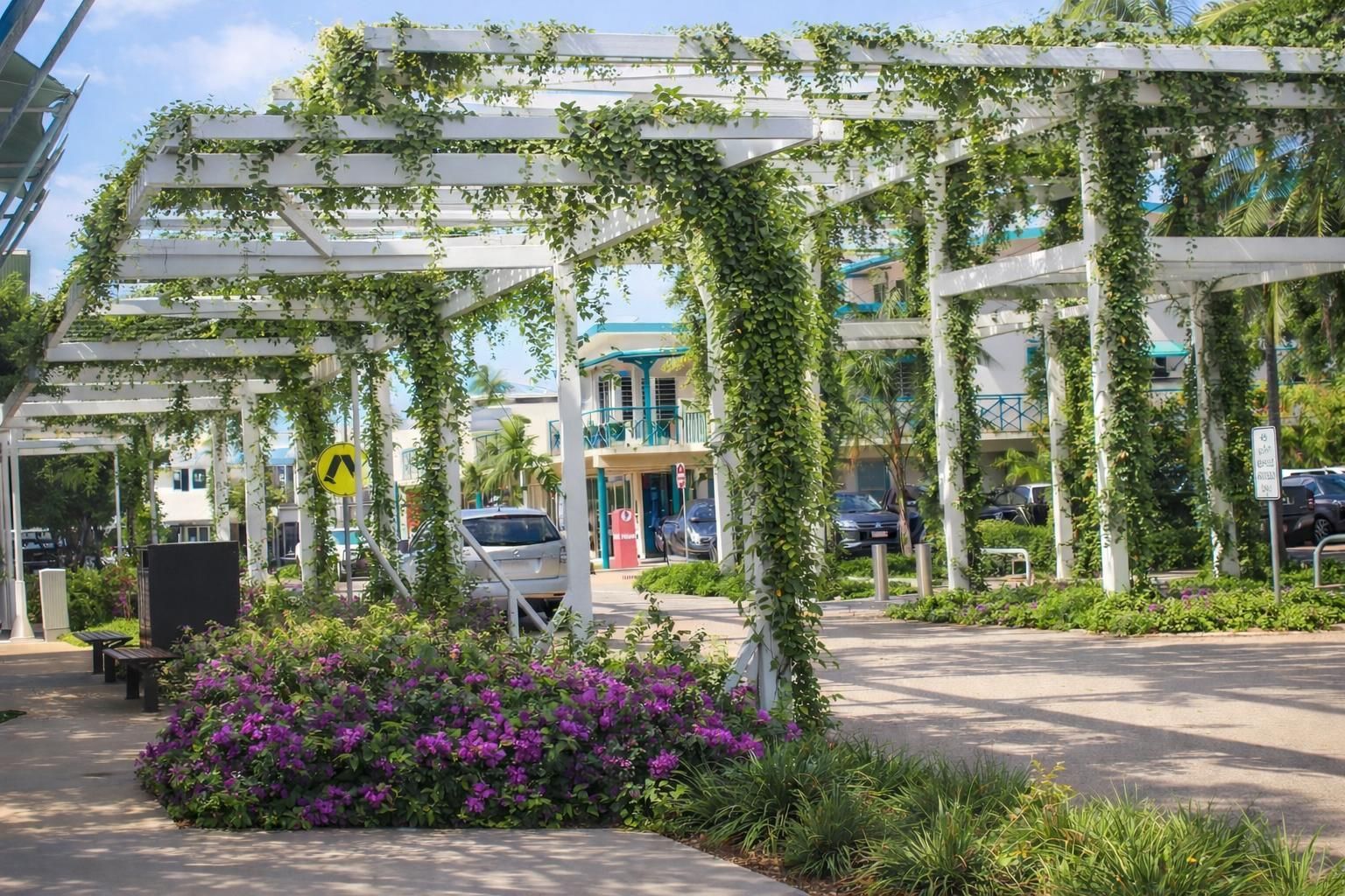 A white wooden pergola covered in climbing vines over a paved walkway, with purple flowers and a distant building.