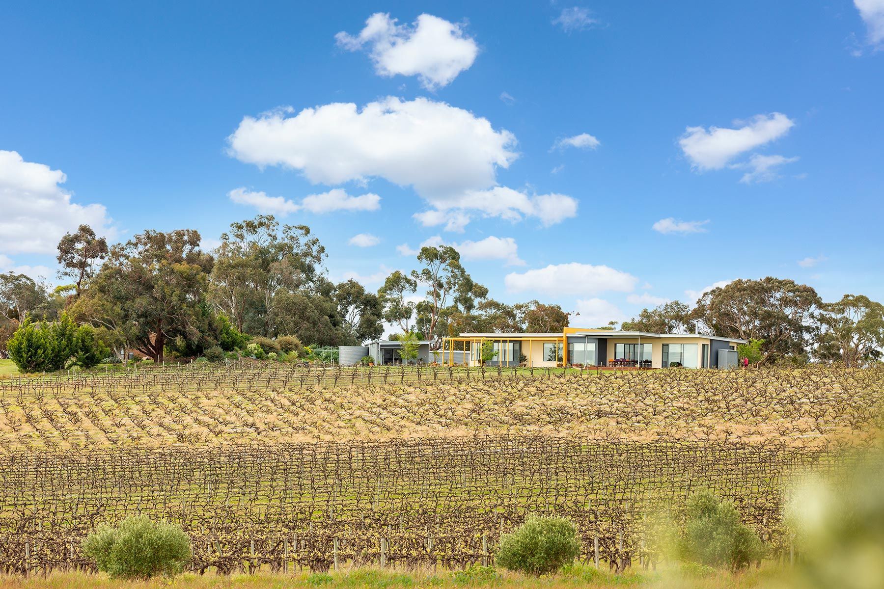 A white building with wooden privacy screens under a corrugated metal awning, surrounded by green shrubs.