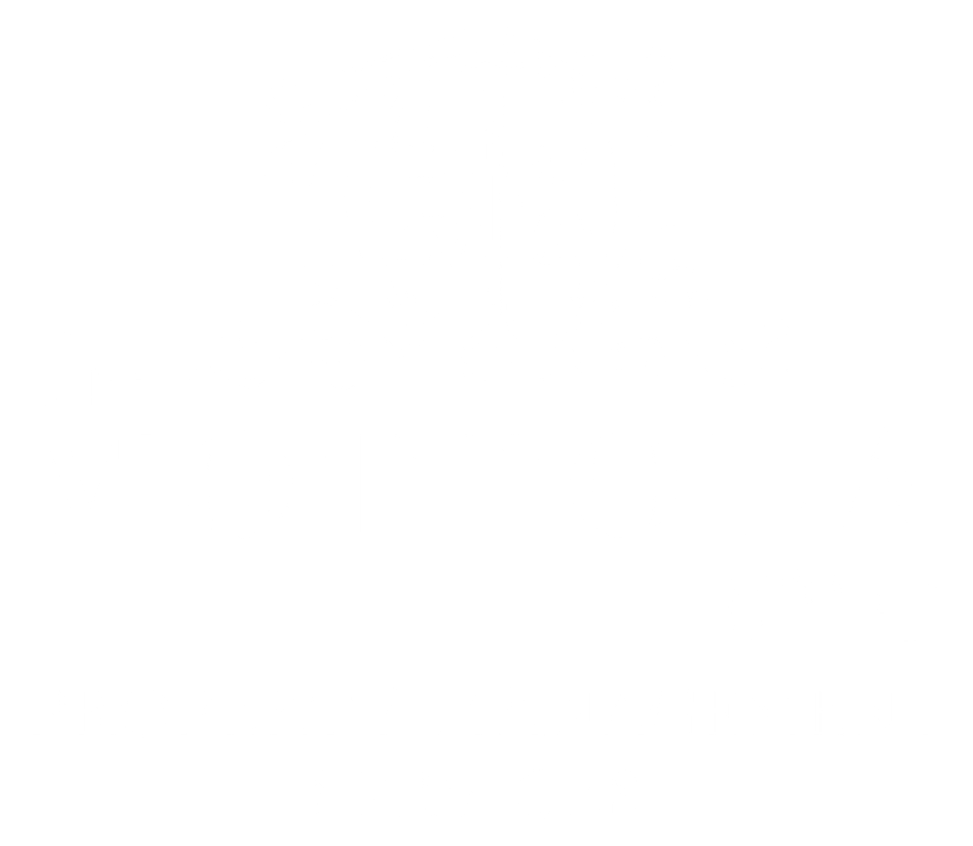 The mottola group logo - footer, go to homepage