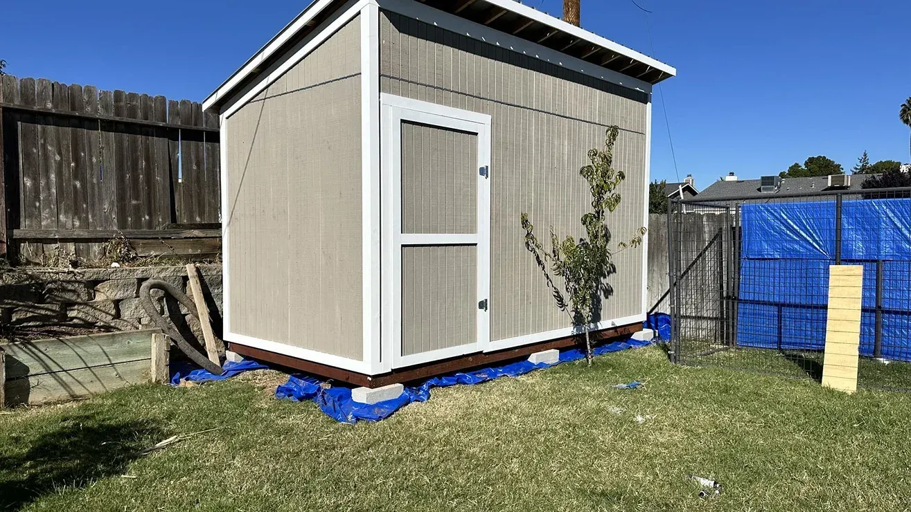 Small beige shed with white trim in a backyard, beside a wooden fence and blue tarp under a clear sky
