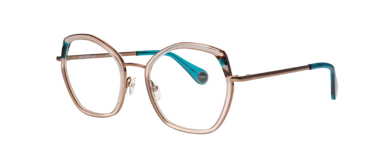 hugo boss frames